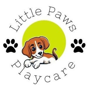 Little Paws Playcare logo